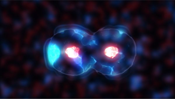 Cells dividing